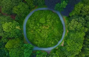 HP et le WWF font cause commune