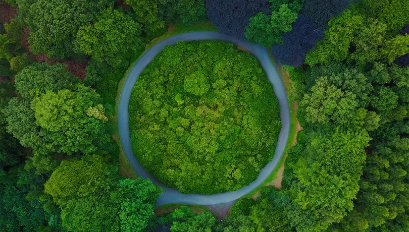 HP en het WWF slaan de handen in elkaar